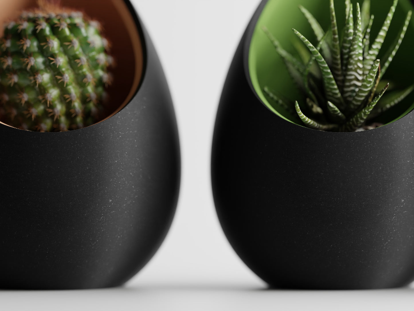 Succulent Plant Pot Egg Shape