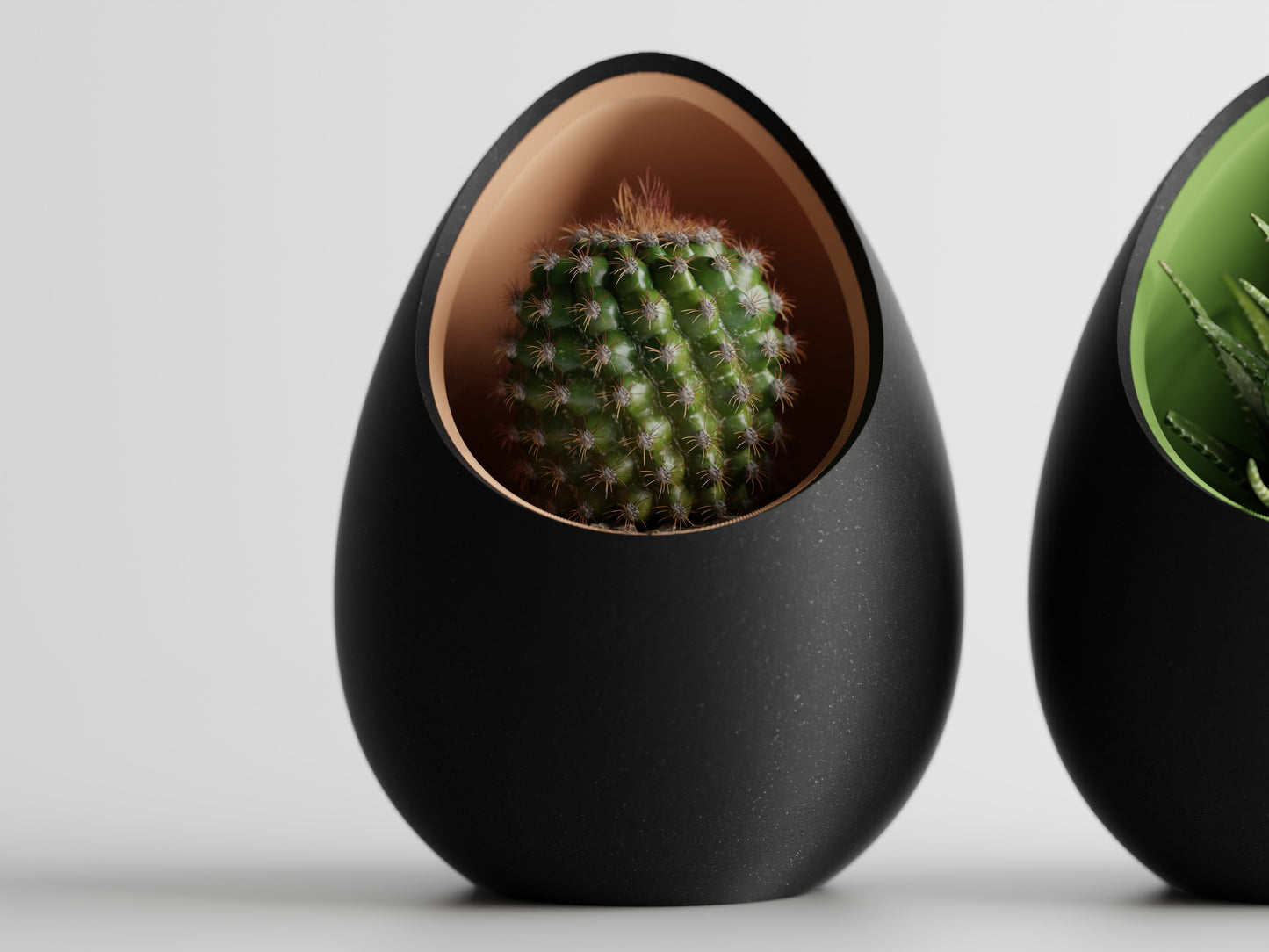 Succulent Plant Pot Egg Shape