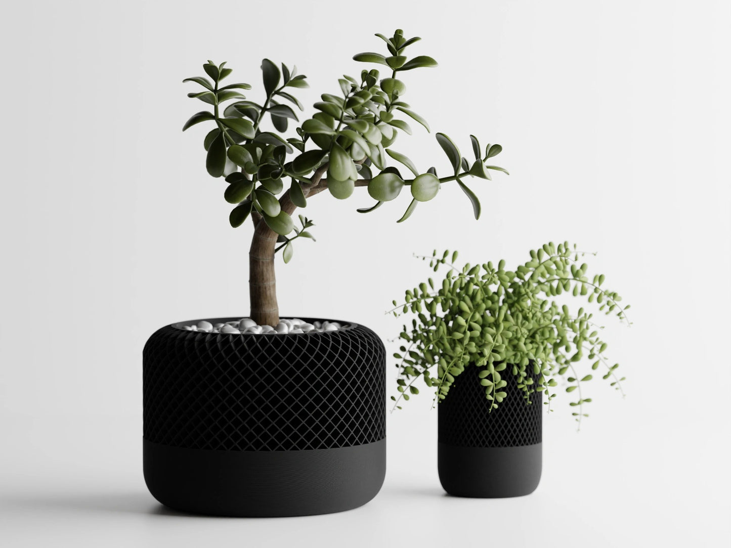 Modern Round Apple Home POD Style Plant Pot Vase (SET OF 2)