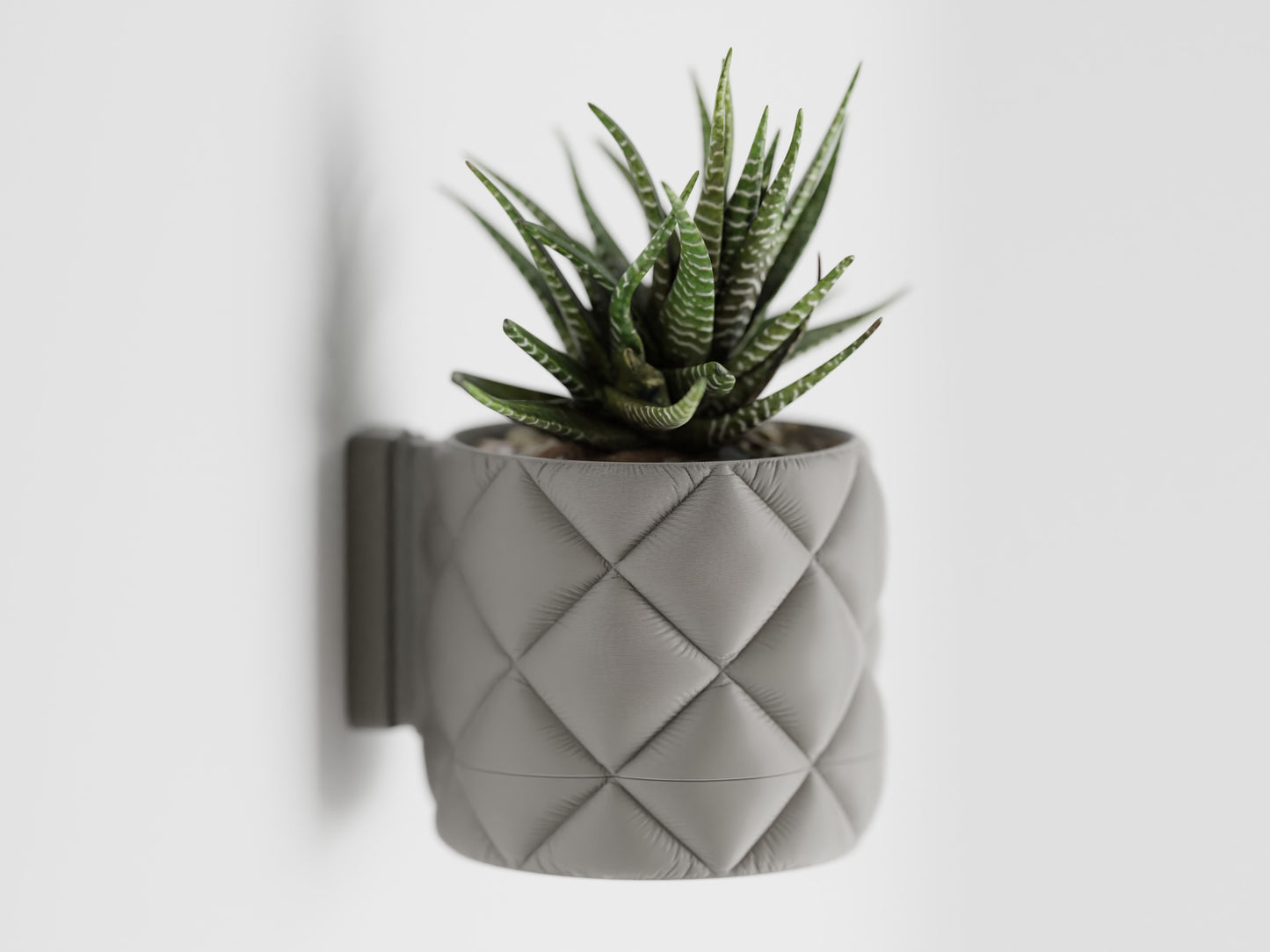 Wall Mount Inflated Planter with drip tray