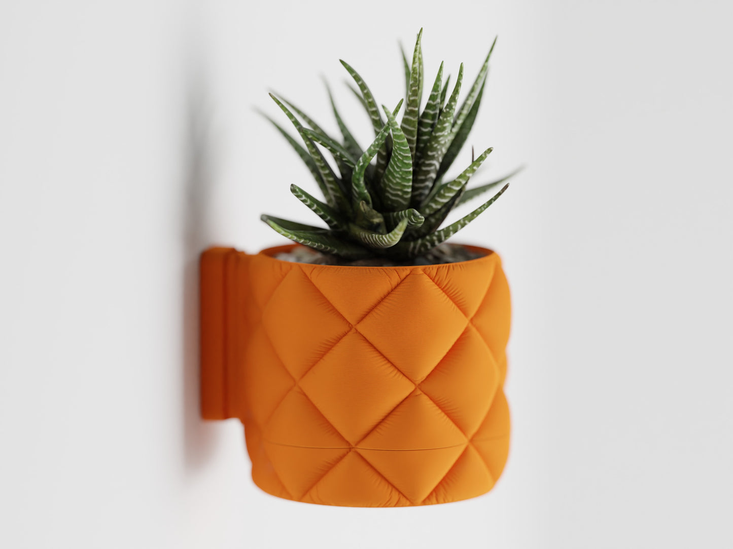 Wall Mount Inflated Planter with drip tray