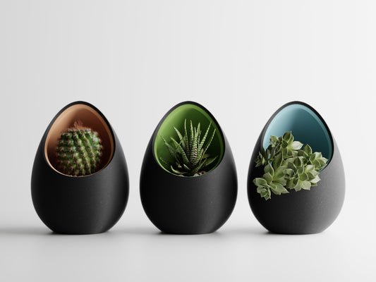 Succulent Plant Pot Egg Shape