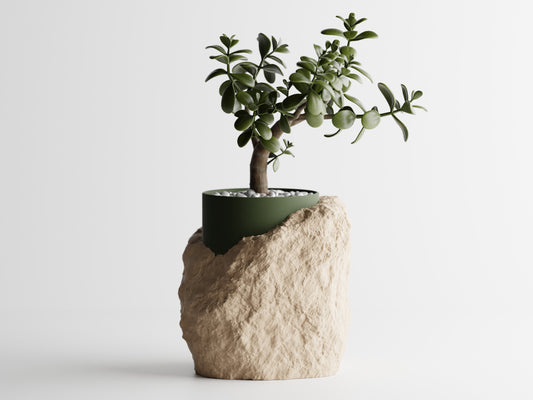 Rock Plant Holder